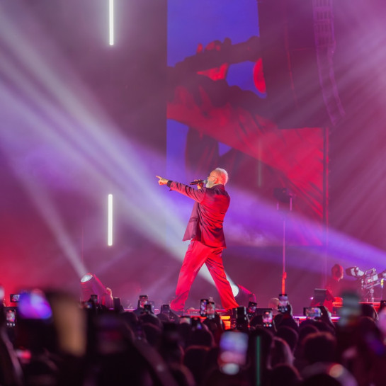 𝐌𝐢 ✨ 𝐇𝐀𝐋𝐋𝐄𝐍𝐒𝐓𝐀𝐃𝐈𝐎𝐍 🎆